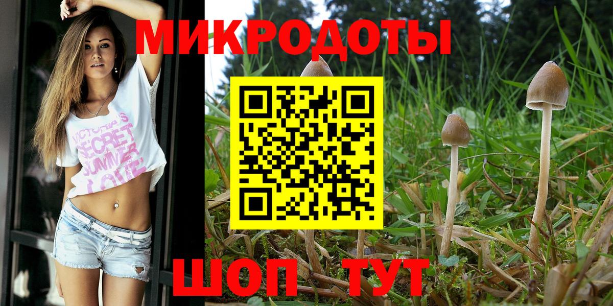Кисловодск  Галлюциногенные грибы Psilocybe  Вход с VPN 